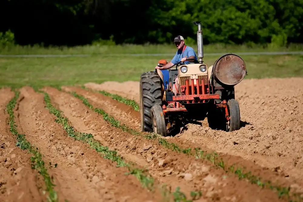 Predložena veća podrška mladim farmerima i strože kontrole subvencija