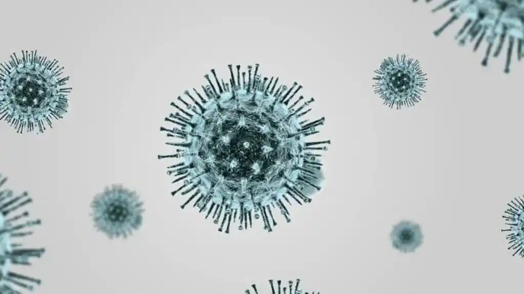 Preminule tri osobe na kruzeru, sumnja se na hanta virus