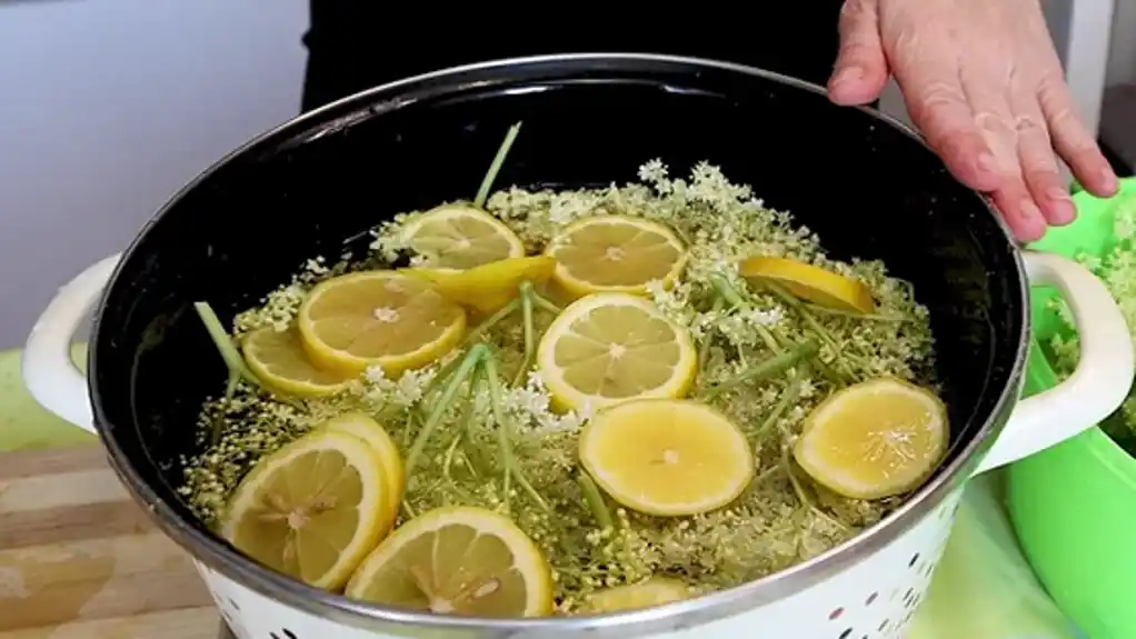 Recept za domaći sok od zove