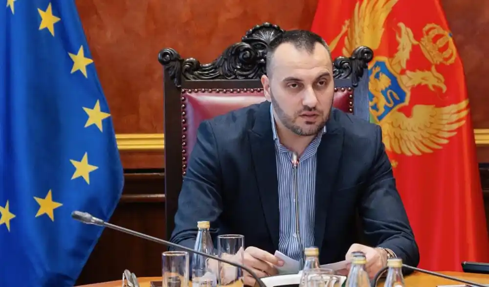 Stjepović: Napadi na porodice su moralno posrnuće, to nije politika nego kanalizacija