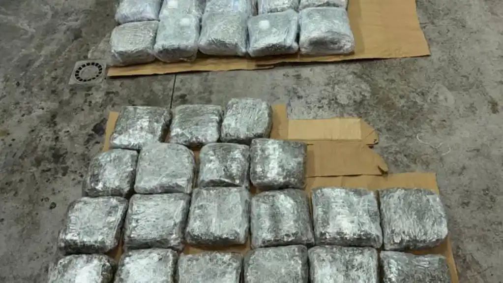 UP: Spriječeno krijumčarenje 63 kilograma marihuane; osumnjičeni se dao u bjekstvo