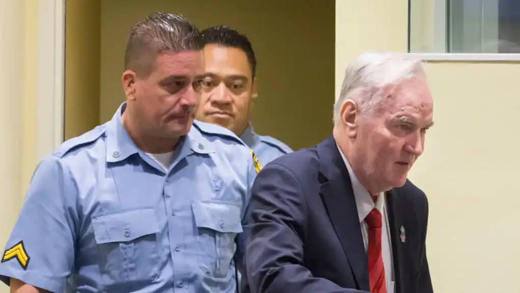 Darko Mladić: BiH u UN potvrdila da je cilj da se general Mladić muči