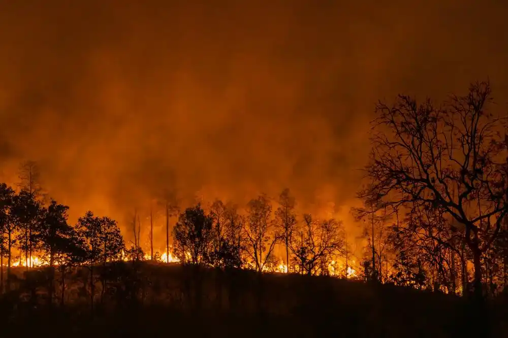 El Ninjo se formirao u Tihom okeanu: Očekuje se da će biti izuzetno jak i da će donijeti vrućinu, požare, poplave…