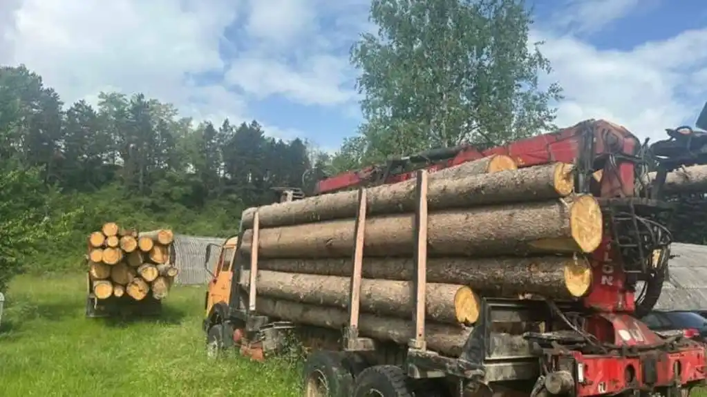 Gazdovanje šumama: Hapšenja u Beranama najavljena još u aprilu