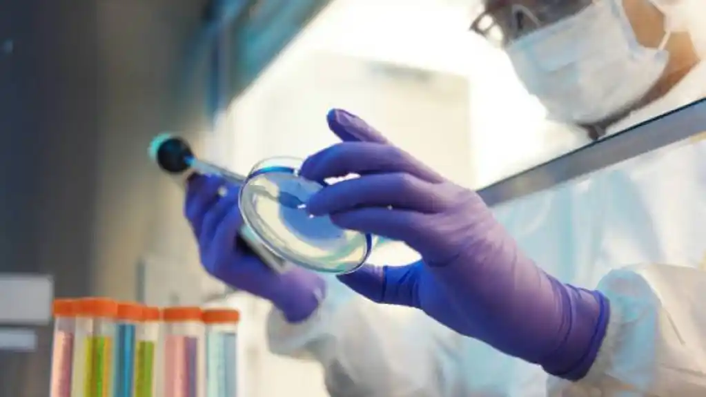 IJZ: U Crnoj Gori nizak rizik od epidemije ebole