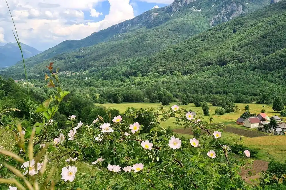 Konačno adaptacija puta ka Lipovu