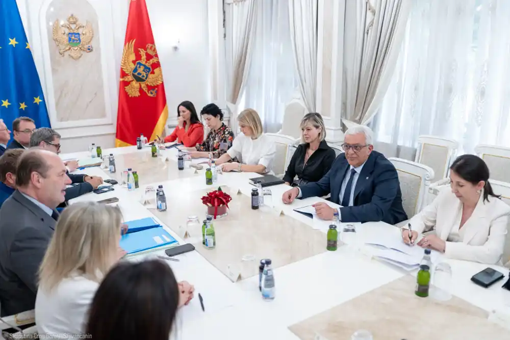 Mandić ugostio delegaciju Odbora za evropske poslove Senata Republike Francuske