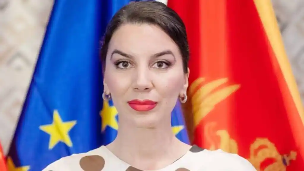 Mićović: Potpuno je jasno da svjedočimo političkom savezu DPS-a i DNP-a