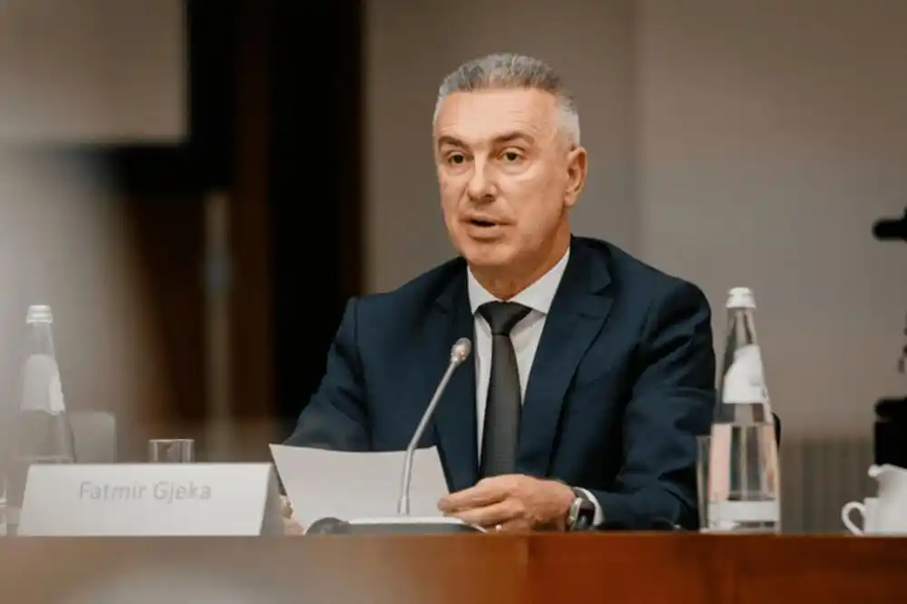 Ništa od više novca za manjinske savjete