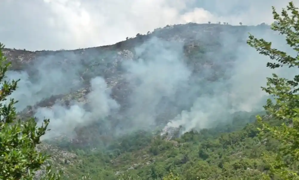 Požar na granici sa Hrvatskom saniran, ekipe i dalje prate situaciju