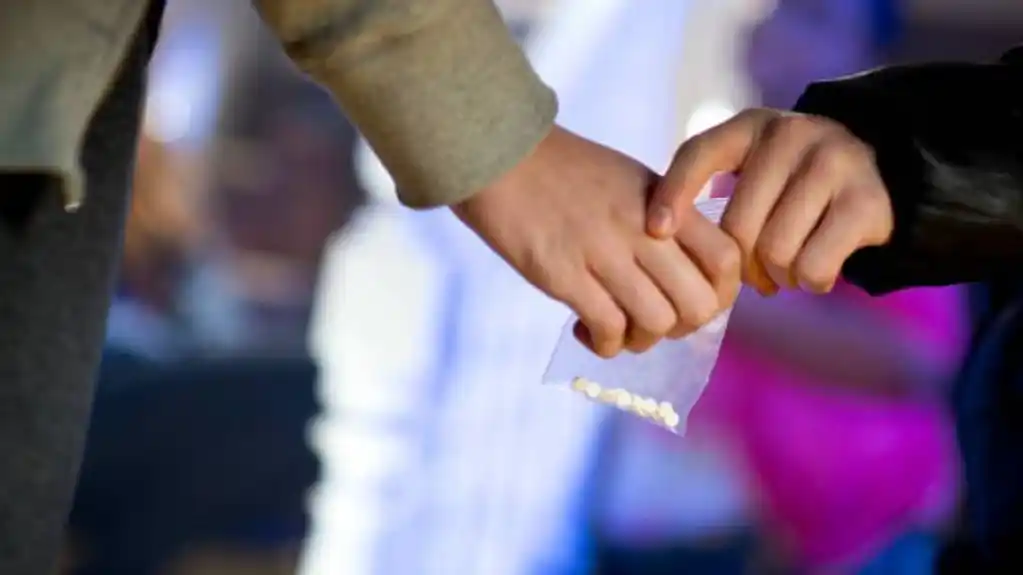 Raspopović: Droga lako dostupna na svakom koraku, žrtve najčešće adolescenti