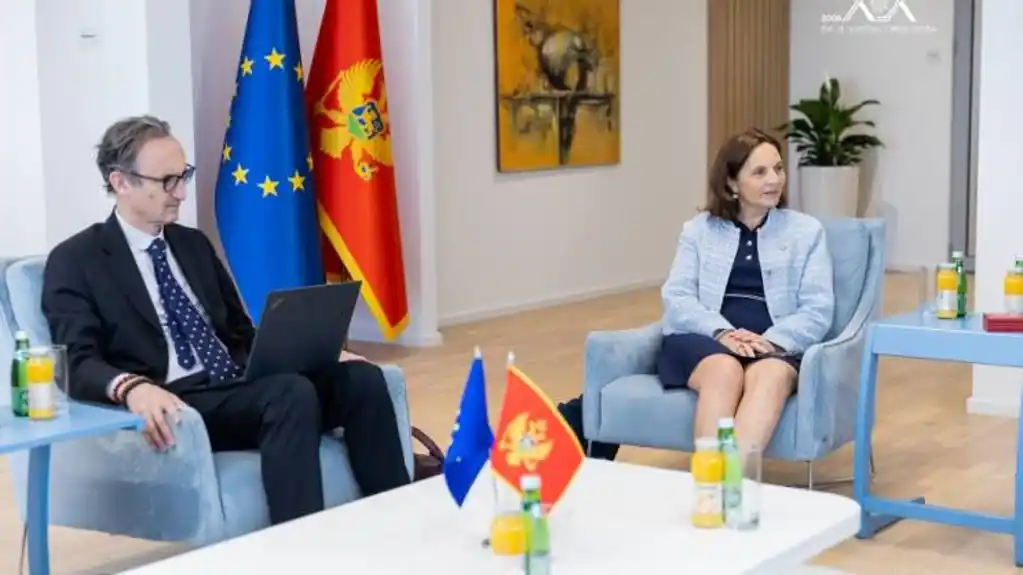 Savjet Evrope pohvalio napredak Crne Gore u oblasti vladavine prava