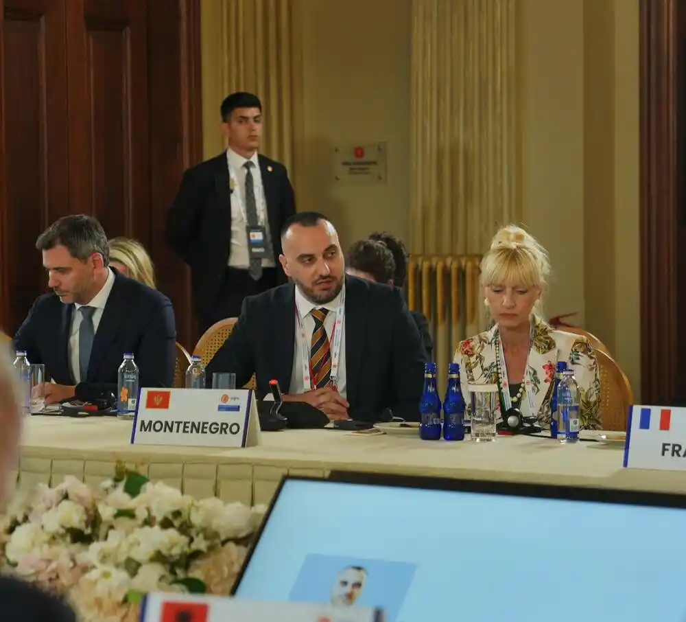 Stjepović: Crna Gora snažno podržava dalje jačanje odbrambenih kapaciteta Alijanse i povećanje ulaganja u odbranu