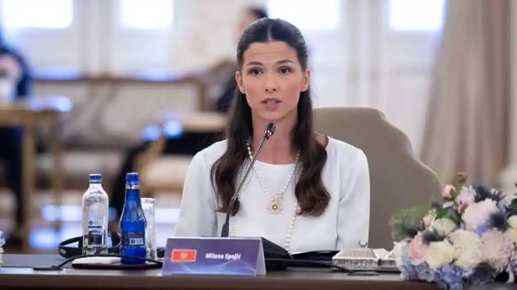 Ankara: Milena Spajić govorila na okruglom stolu o zaštiti djece u digitalnom okruženju