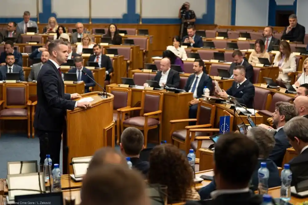 Medojević: Dvije struje u PES-u, sporazum za glasanje za Ustav najava koalicije DPS-PES!