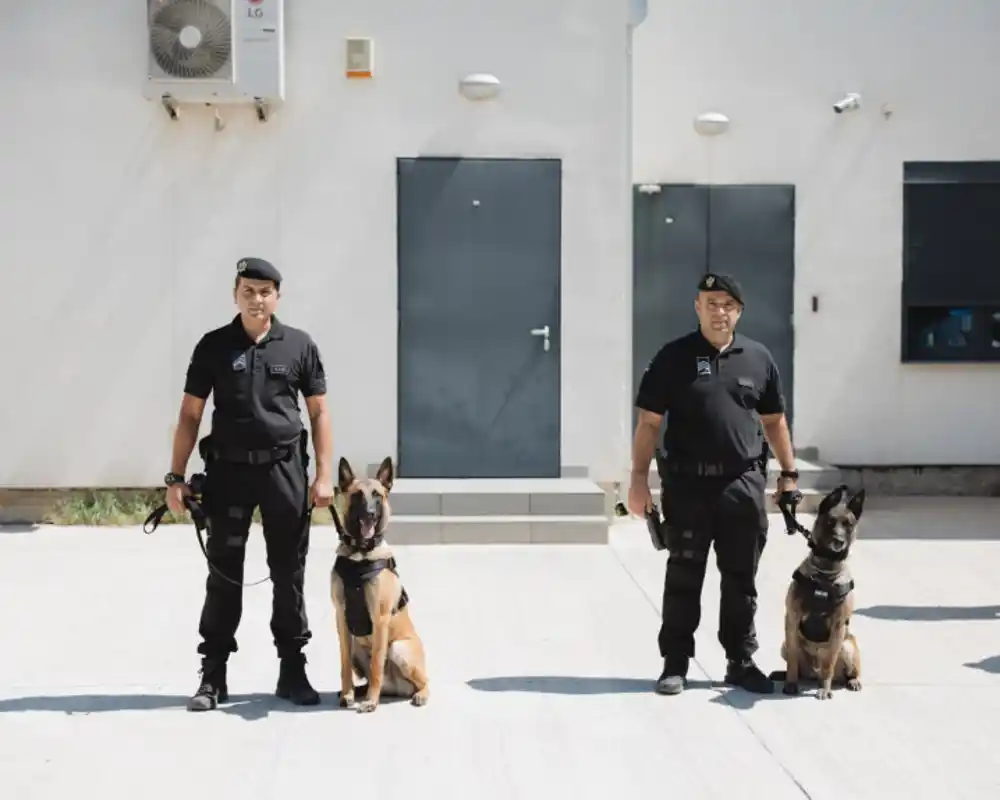 OEBS donirao Upravi policije četiri specijalizovana K9 vozila vrijedna 120.000 eura