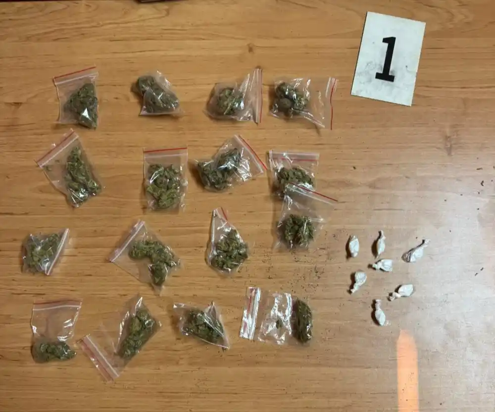 Pojačane kontrole na Velikoj plaži: Uhapšena tri lica, pronađeni marihuana i kokain, dvoje stranaca protjerano