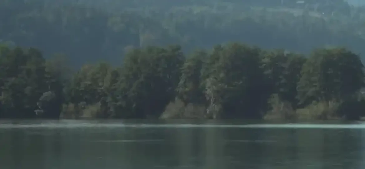 Pronađena tijela dvojice stranih državljana u Hrvatskoj, traga se za trećim