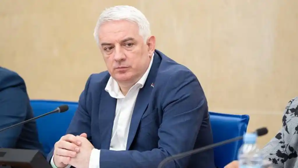 Vučurović: Srpski političari će uvesti Crnu Goru u EU