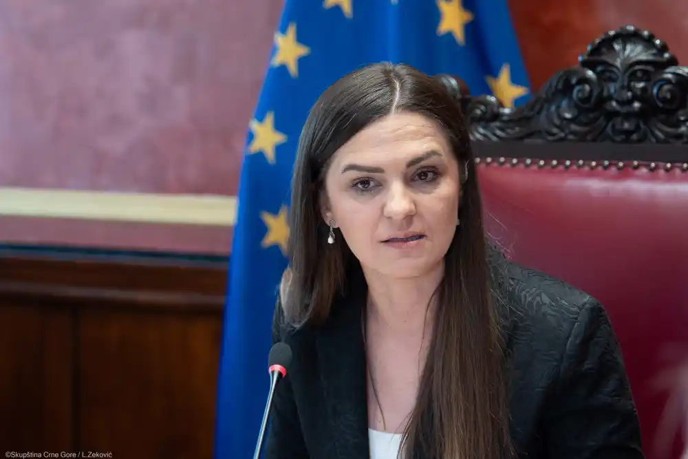 Andrić: Apsolutno sam protiv odluke Ervina Ibrahimovića i MVP da pošalju predstavnika na proslavu „Oluje“