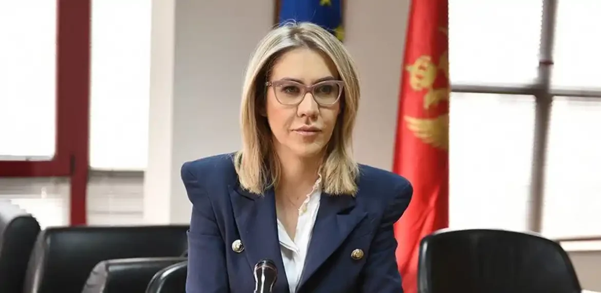 Bratić o potencijalnoj smjeni Ibrahimovića: Potpisala bih s obje ruke, ne jer se zove Ervin, već jer radi na štetu Crne Gore i mog naroda