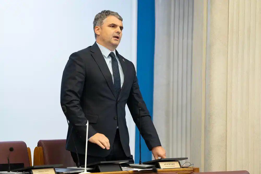 Čapuni: Evropski put se ne može graditi preko mehanizama koji slabe lokalne samouprave
