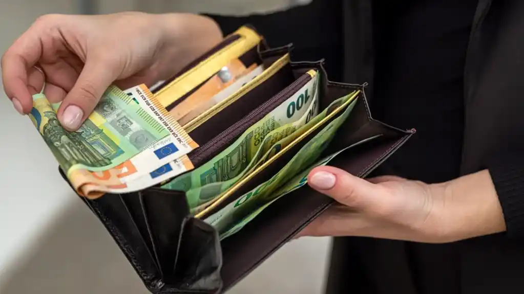 Gdje su najveće a gdje najmanje plate: Koliko se razlikuju zarade po sektorima i opštinama