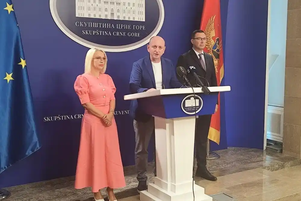 Knežević: Niko od poslanika vlasti nije potpisao inicijativu za interpelaciju o radu Ibrahimovića