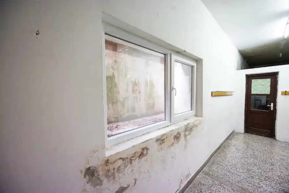 Ministarstvo: Radovi na unapređenju energetske efikasnosti OŠ u Herceg Novom i Risnu odvijaju se planiranom dinamikom