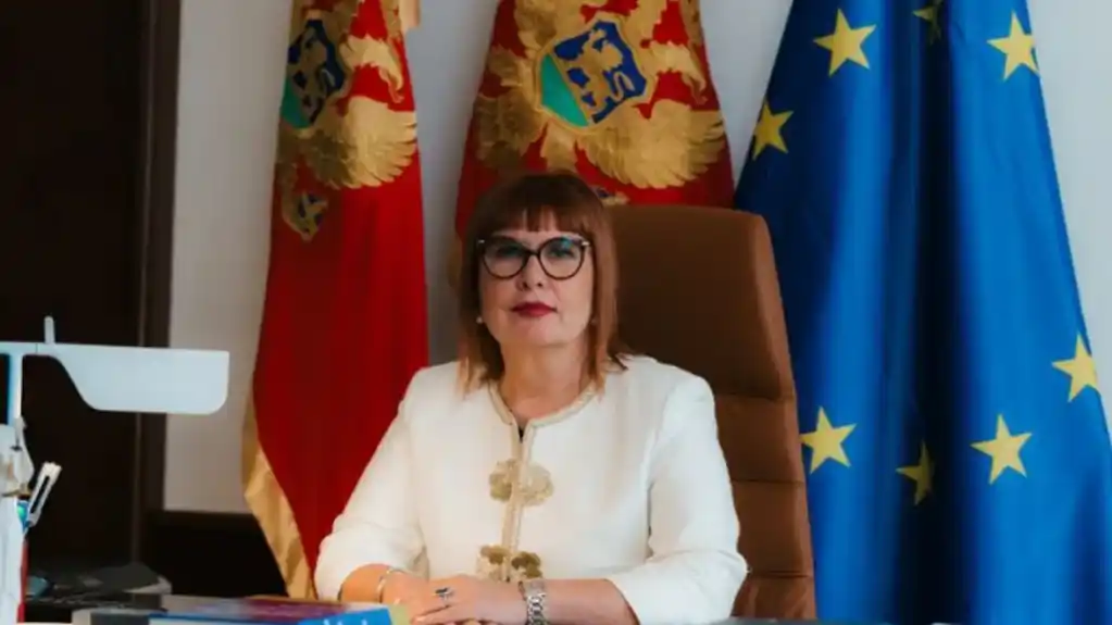 Pavličić na Sorboni o zaštiti ljudskih prava i izazovima pravičnog suđenja