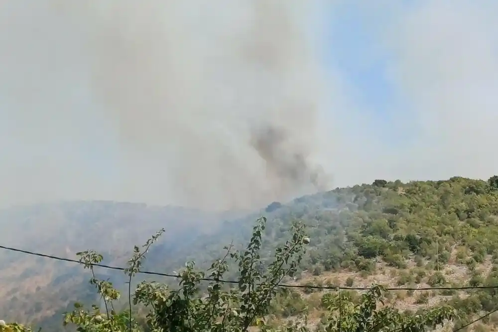 Požar u Ulcinju, ugroženi objekti i maslinjaci