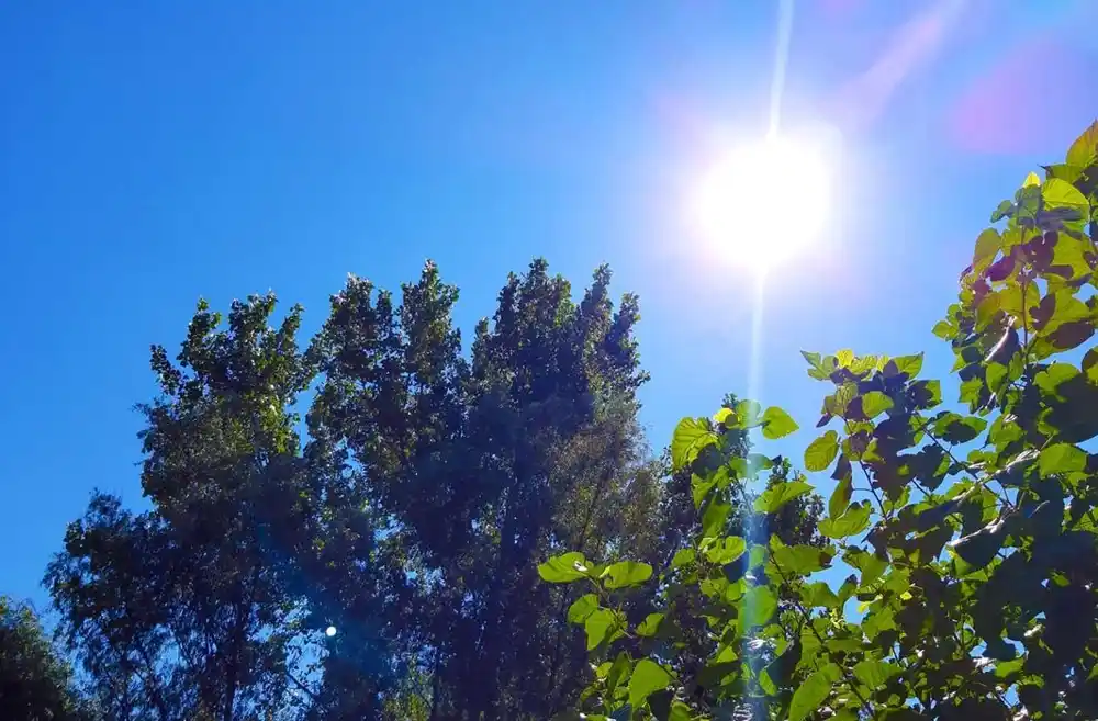 Sunčano i veoma toplo, temperatura do 39 stepeni