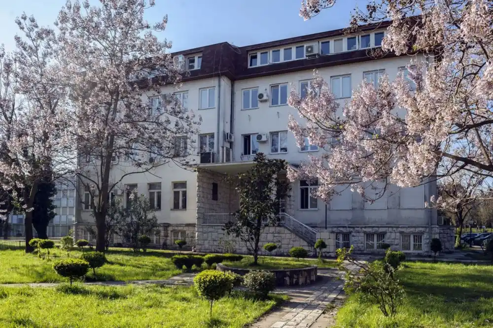 Samo jedan glas za Gogića: Istorijski institut raspisuje novi konkurs