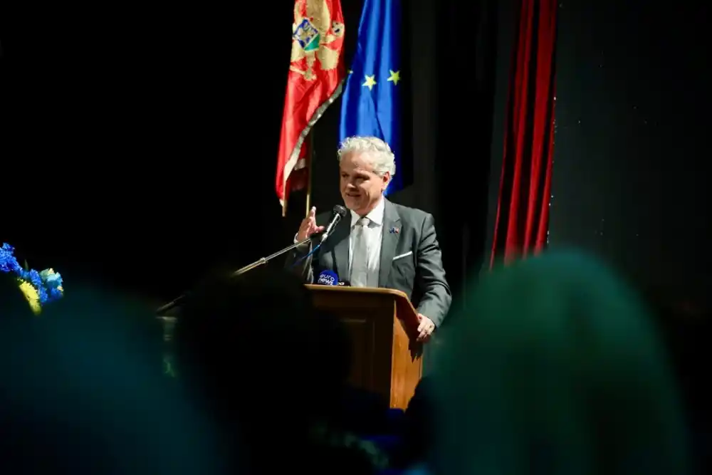 Satler: Politički akteri pokazali odgovoran odnos, očekujemo formiranje izborne komisije do kraja avgusta