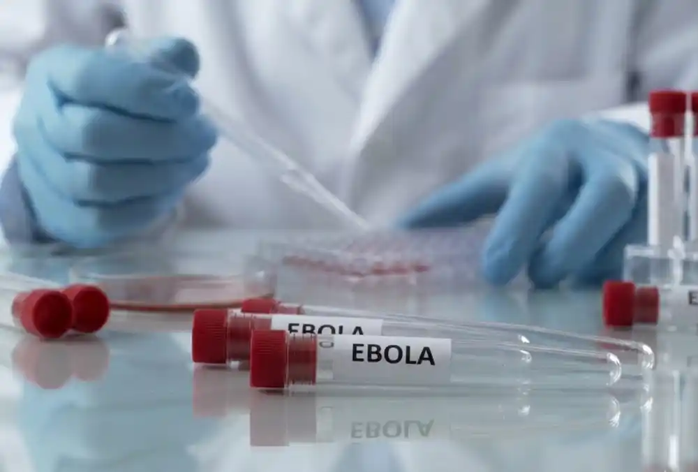 SZO: Epidemija ebole u Kongu može da bude stavljena pod kontrolu za tri mjeseca