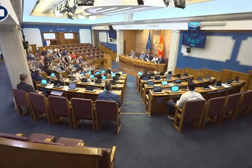 Knežević: Imam osjećaj da je Satler politički osedlao i parlamentarnu većinu i opoziciju, liše DNP-a