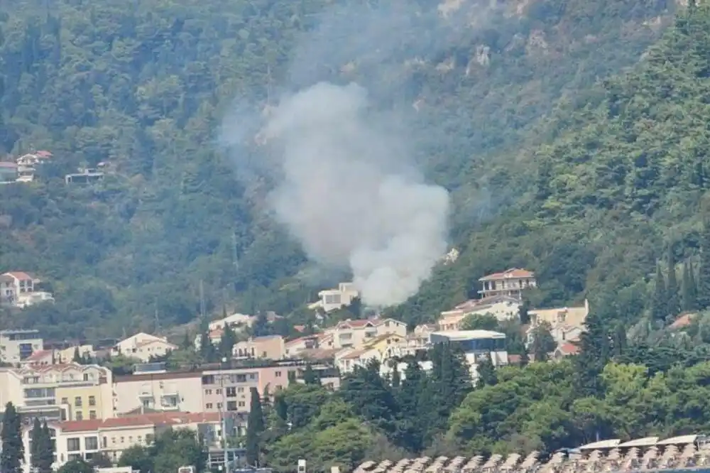 Budva: Ugašen požar na Košljunu