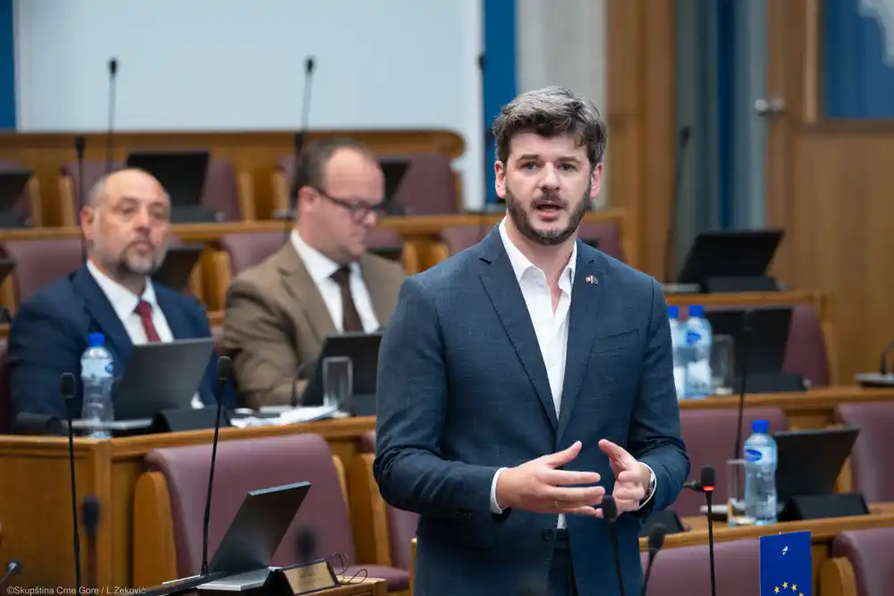 Čarapić: Crna Gora prepoznata po korupciji, naš cilj jeste da ovom mjerom štitimo suverenitet građanina