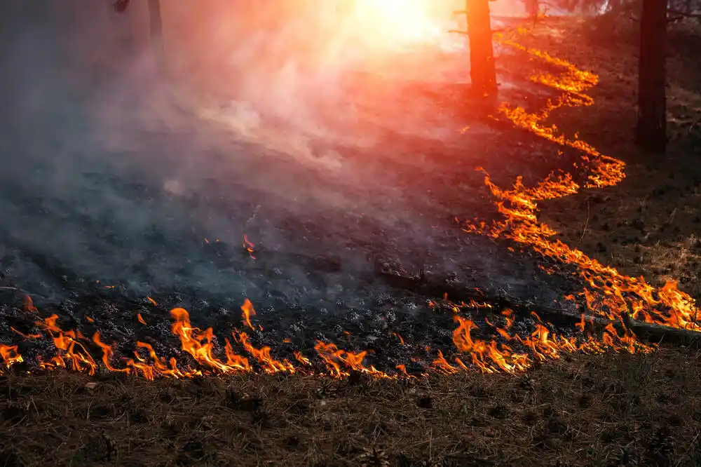 Helikopteri Vojske Crne Gore juče bili angažovani na gašenju požara u Nikšiću i Podgorici