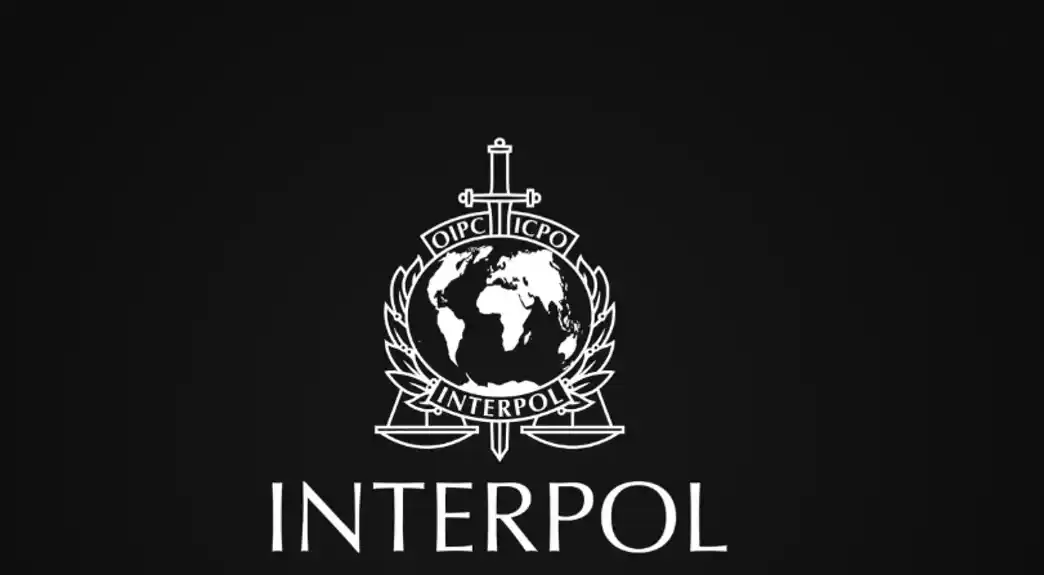 Interpol uz pomoć vještačke inteligencije identifikovao 126 osumnjičenih terorista