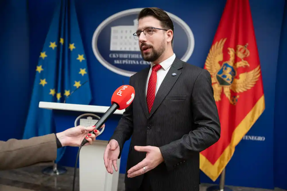 Miličić: Mandić nije planirao nikakav put u Brisel