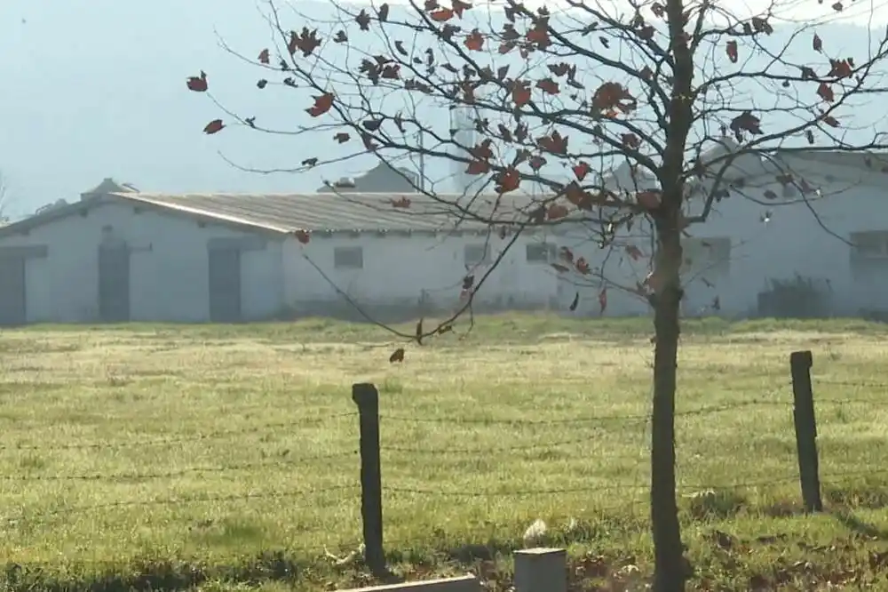Mjesna zajednica Spuž: Farma i klanica godinama ugrožavaju kvalitet života, tražimo hitnu reakciju nadležnih