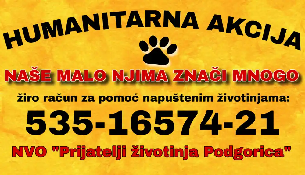 NVO „Prijatelji životinja Podgorica“ nastavlja humanitarnu akciju „Naše malo njima znači mnogo“