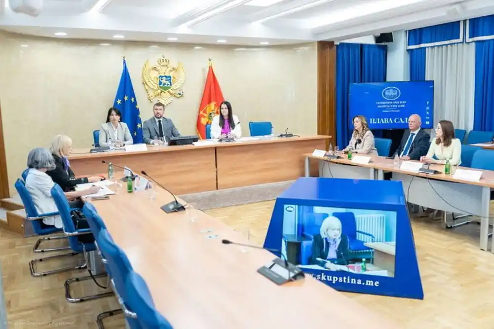 Odbor saslušava povodom vršnjačkog nasilja u Crnoj Gori