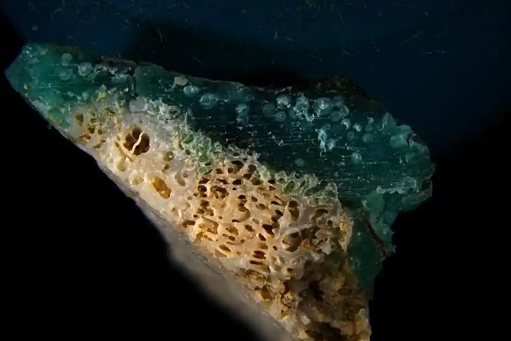 Plastika se stopila s koralima – naučnici otkrili novu vrstu zagađenja