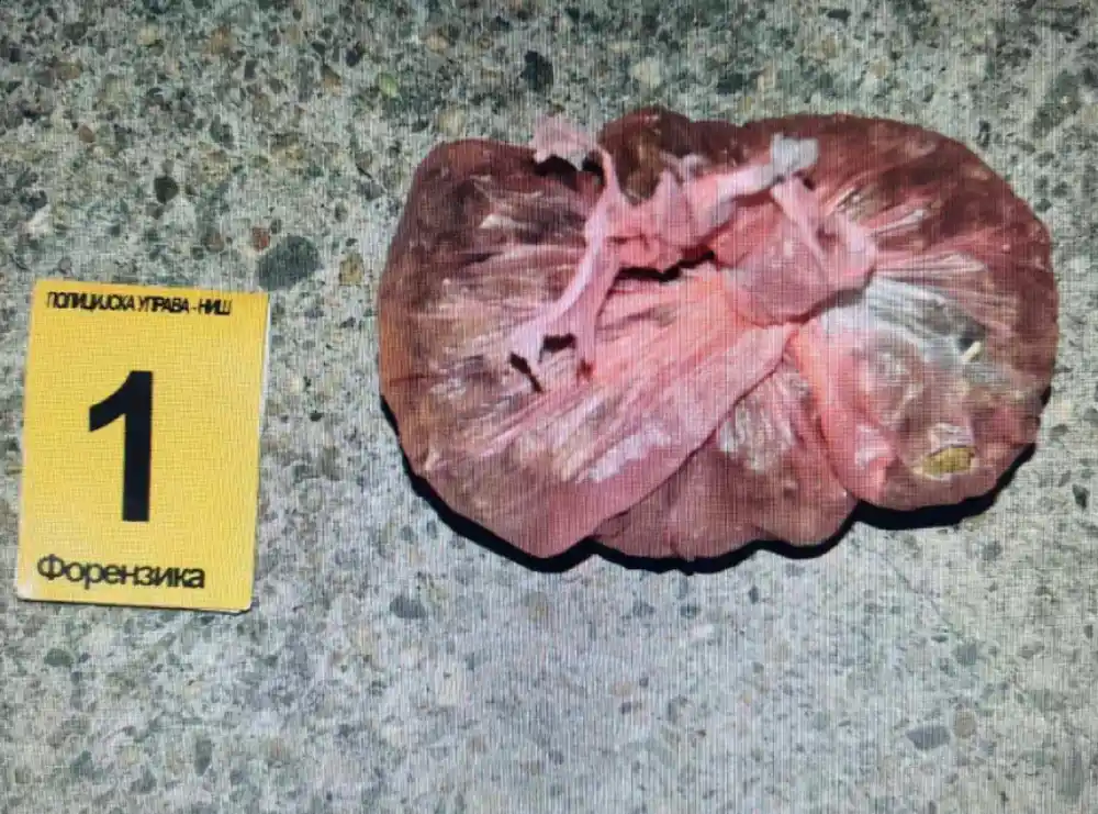 U dvorištu fakulteta u Nišu pronađena droga, protiv tinejdžera krivična prijava