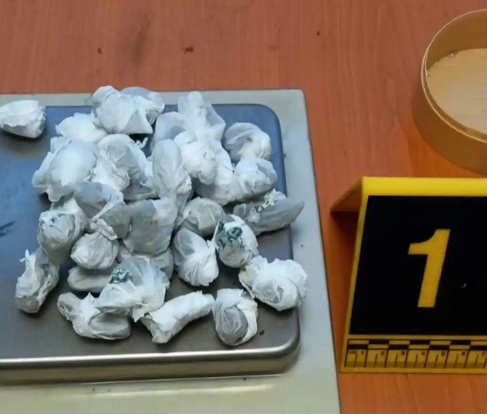 U Rožajama maloljetnica procesuirana zbog droge, pretresom kuće pronađena marihuana