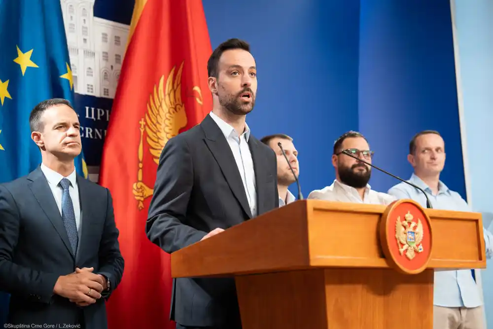 Zirojević: Od odnosa vlasti prema opoziciji zavisi tempo evropskog puta