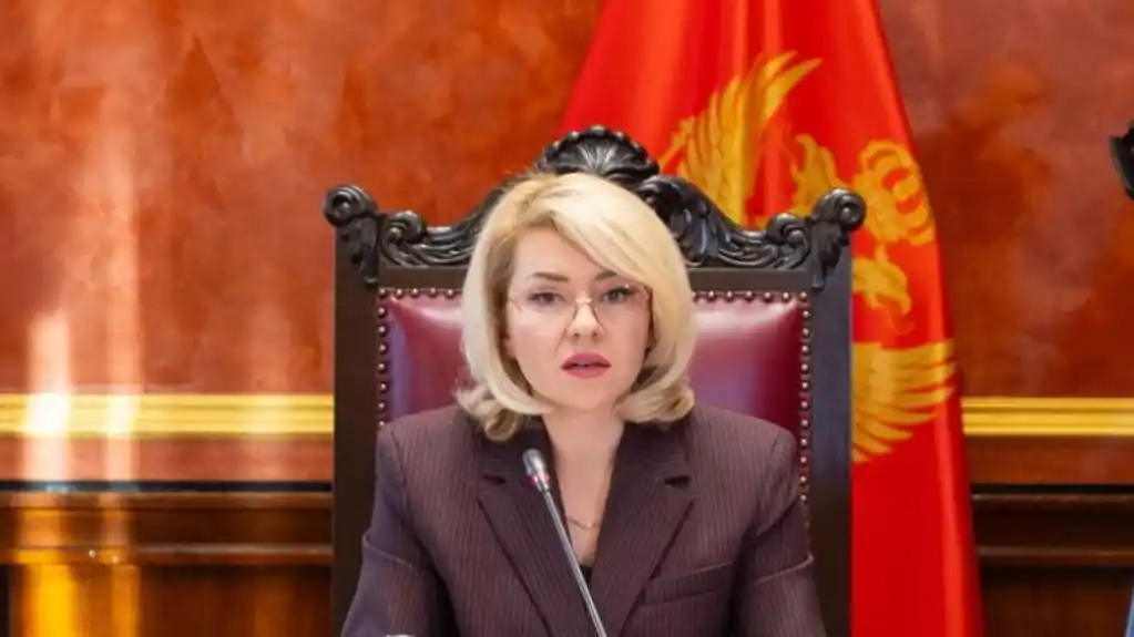 Božović: Ništa ne smije da poremeti evropski put Crne Gore