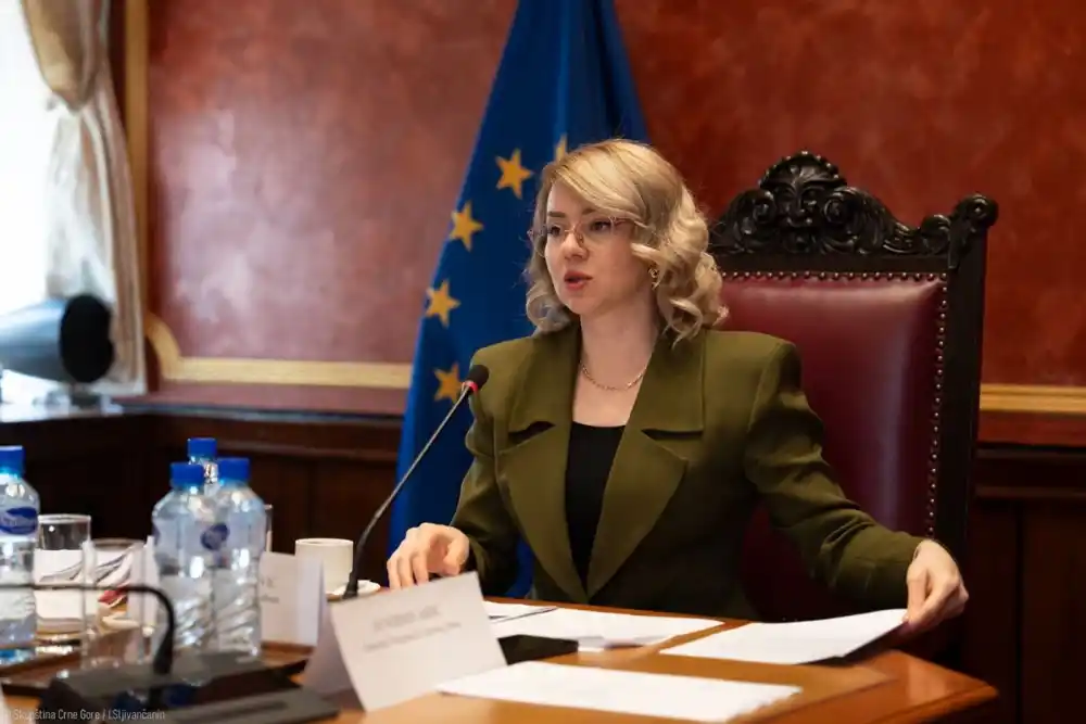 Božović: Već su se desila mnoga značajna hapšenja, ali ima još da se radi